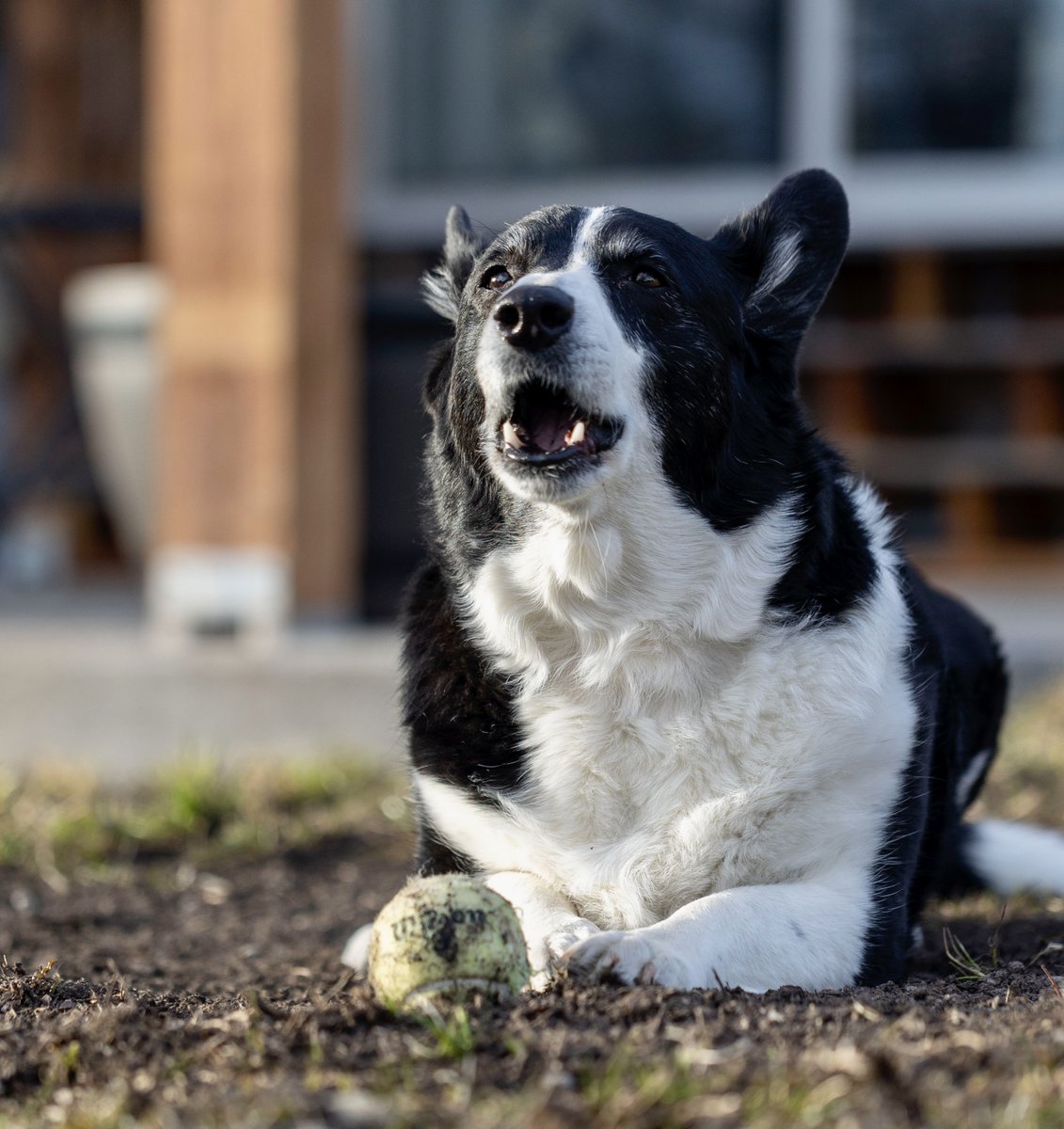 Name's Treytee MacGee. I like to play in the MUD 💯