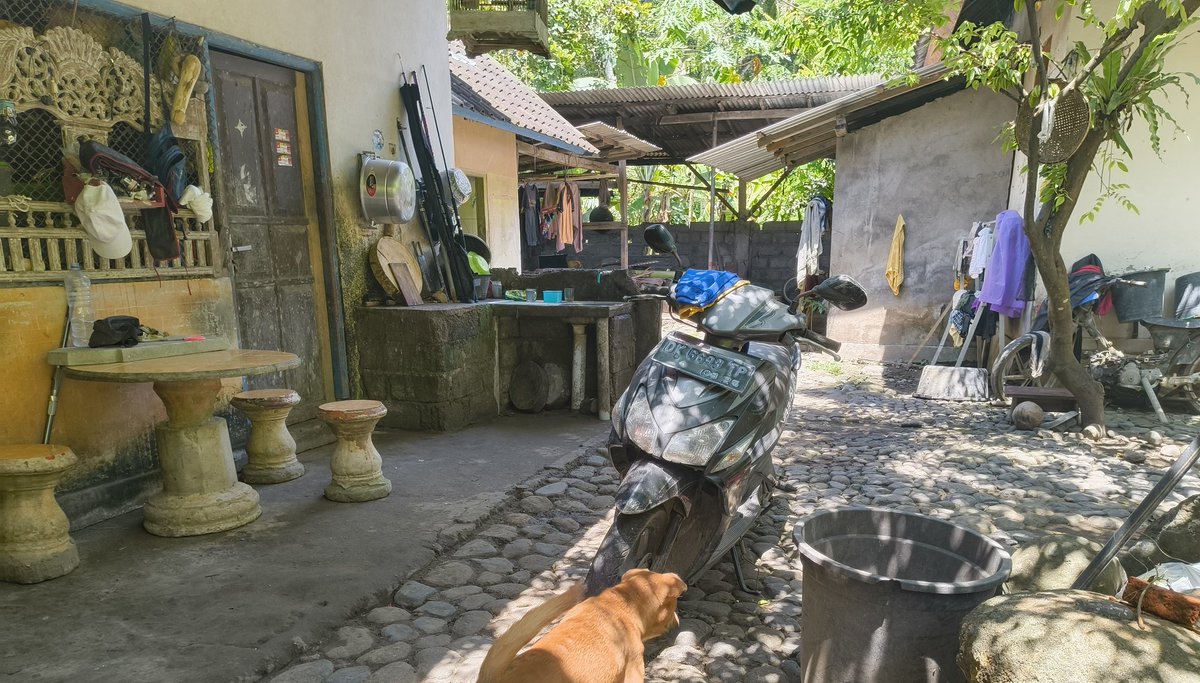 Reddos Journey Through Bali Day 2🐉

Finally arrived in Bali we headed directly to the homestay in Karangasem 

Smol Reddo can't wait to go to the beach but for now we need to recover from jet lag x.x
#Furry #Bali #Adventure