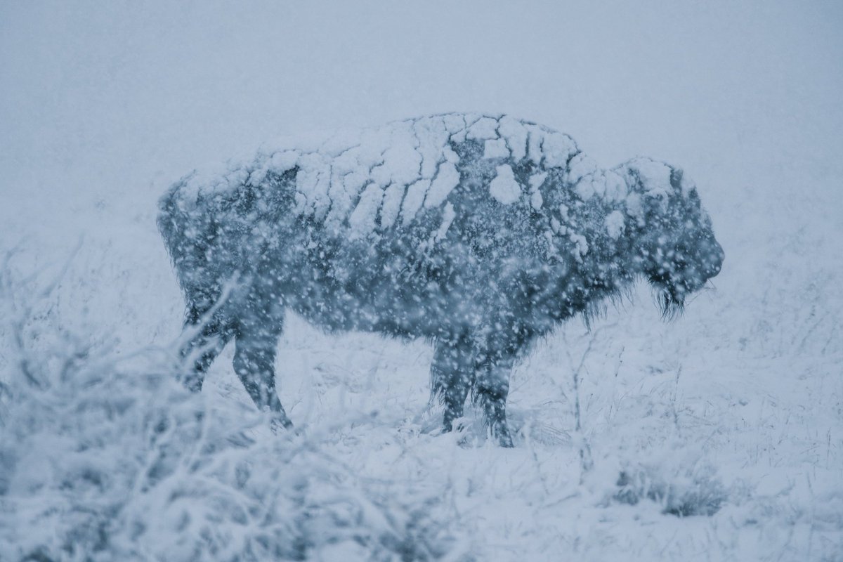 Had some snow last weekend…