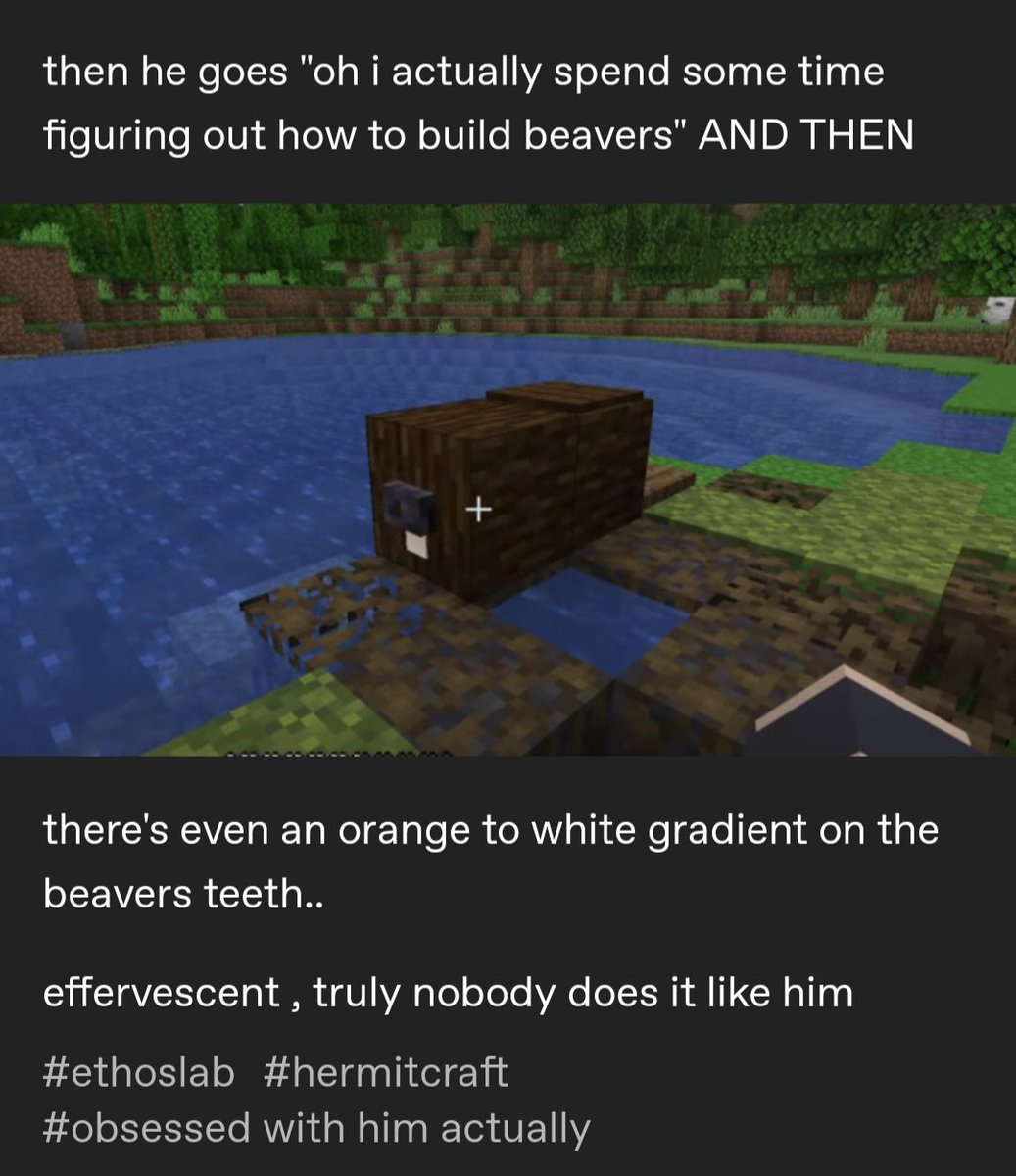 Hi guys follow me on tumblr #ethoslab #hermittwt