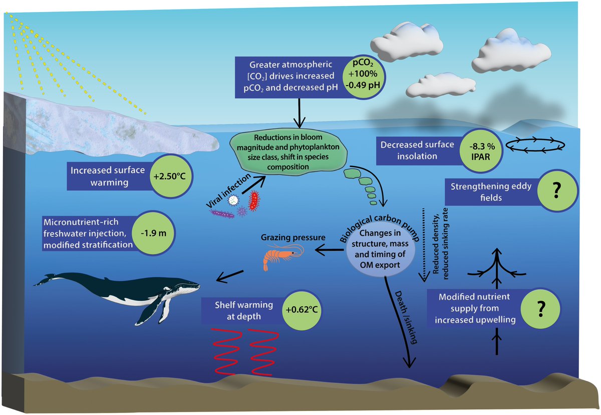 SOOS (@soosocean) on Twitter photo Climate change is reshaping the Southern Oceanโs ecosystems, with ๐ฝ๐ฟ๐ถ๐บ๐ฎ๐ฟ๐ ๐ฝ๐ฟ๐ผ๐ฑ๐๐ฐ๐๐ถ๐๐ถ๐๐ ๐ฝ๐ฟ๐ผ๐ท๐ฒ๐ฐ๐๐ฒ๐ฑ ๐๐ผ ๐ถ๐ป๐ฐ๐ฟ๐ฒ๐ฎ๐๐ฒ ๐ฏ๐ ๐ฏ๐ฌ% in some areas! ๐ Yet, big data gaps persist.
bg.copernicus.org/articles/22/97โฆ
New study identifies key SOOS regions, timelines, Climate change is reshaping the Southern Oceanโs ecosystems, with ๐ฝ๐ฟ๐ถ๐บ๐ฎ๐ฟ๐ ๐ฝ๐ฟ๐ผ๐ฑ๐๐ฐ๐๐ถ๐๐ถ๐๐ ๐ฝ๐ฟ๐ผ๐ท๐ฒ๐ฐ๐๐ฒ๐ฑ ๐๐ผ ๐ถ๐ป๐ฐ๐ฟ๐ฒ๐ฎ๐๐ฒ ๐ฏ๐ ๐ฏ๐ฌ% in some areas! ๐ Yet, big data gaps persist.
bg.copernicus.org/articles/22/97โฆ
New study identifies key SOOS regions, timelines,