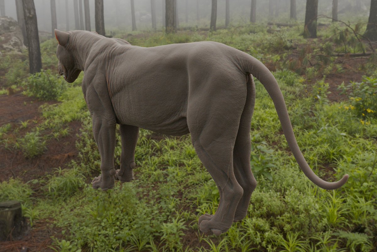 Work on cave lion continues 
(it was supposed to be a weekend grooming project😭)