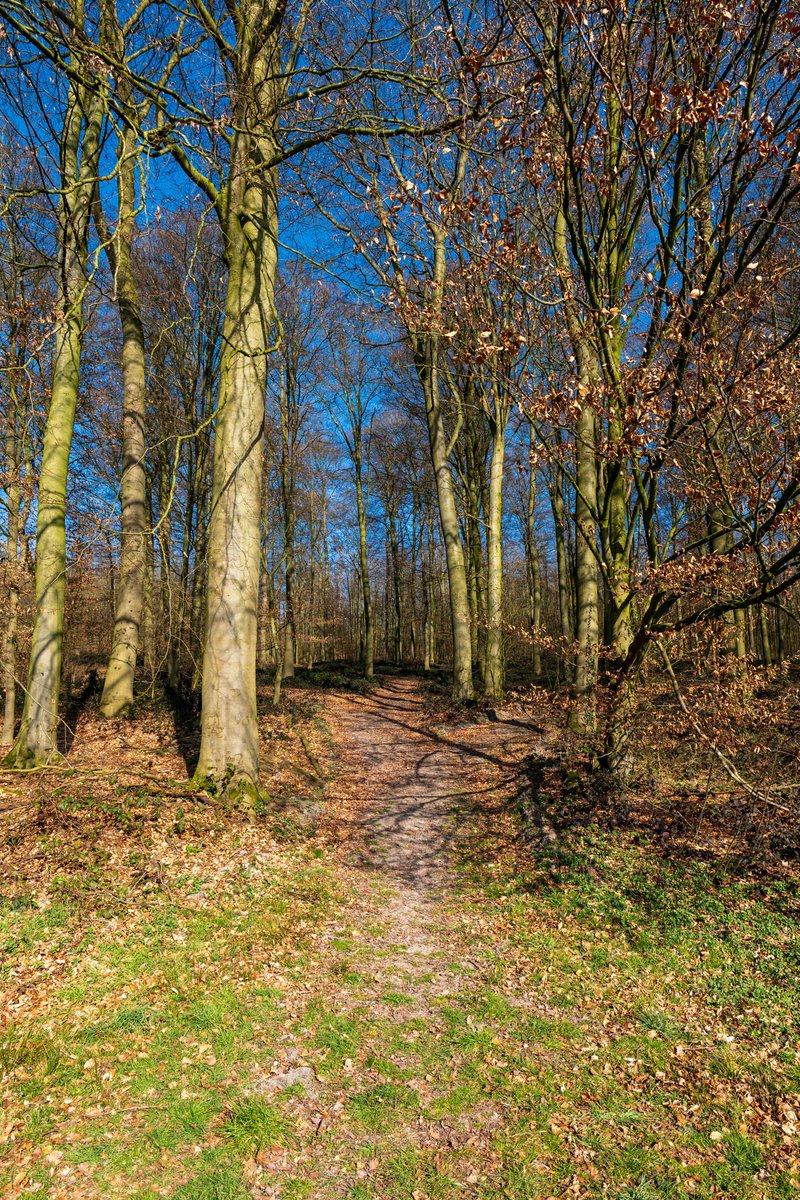 countryrdcamp's tweet image. 🌸🥾 Spring is here, and the trails are calling!

Gear up for adventure with Country Roads Camping—tents, sleeping bags, flashlights &amp;amp; more! 🌿🏕️

👉 countryroadscamping.com
#SpringHiking #HikingGear #CountryRoadsCamping #AdventureAwaits