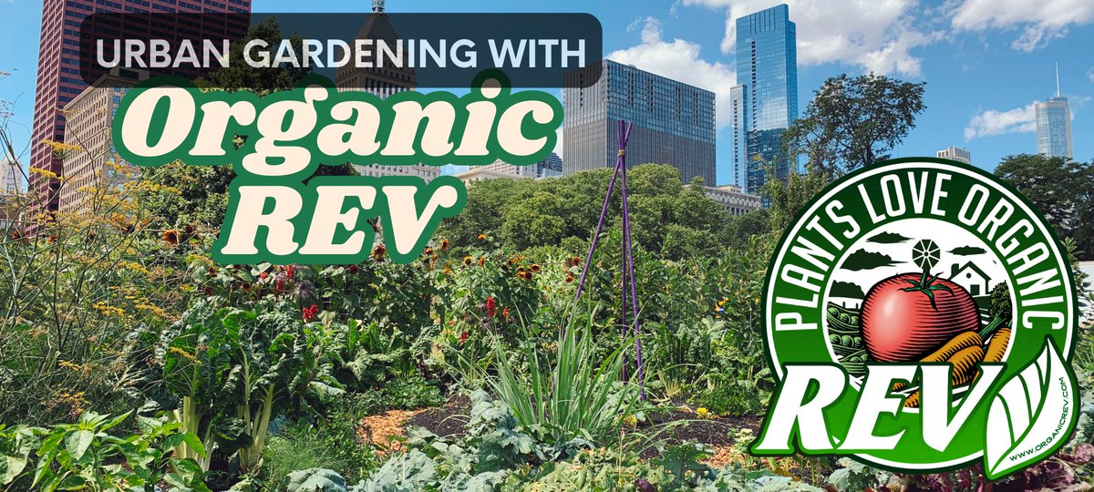 Urban soil = compacted, depleted, &amp; unpredictable. 🚧 But your city garden doesn’t have to suffer!

Organic REV supercharges small-space gardens with organic carbon + 650+ microbes for stronger roots &amp; healthier plants. 🌱🌿

Learn how to revive your urban soil! 👇
🔗