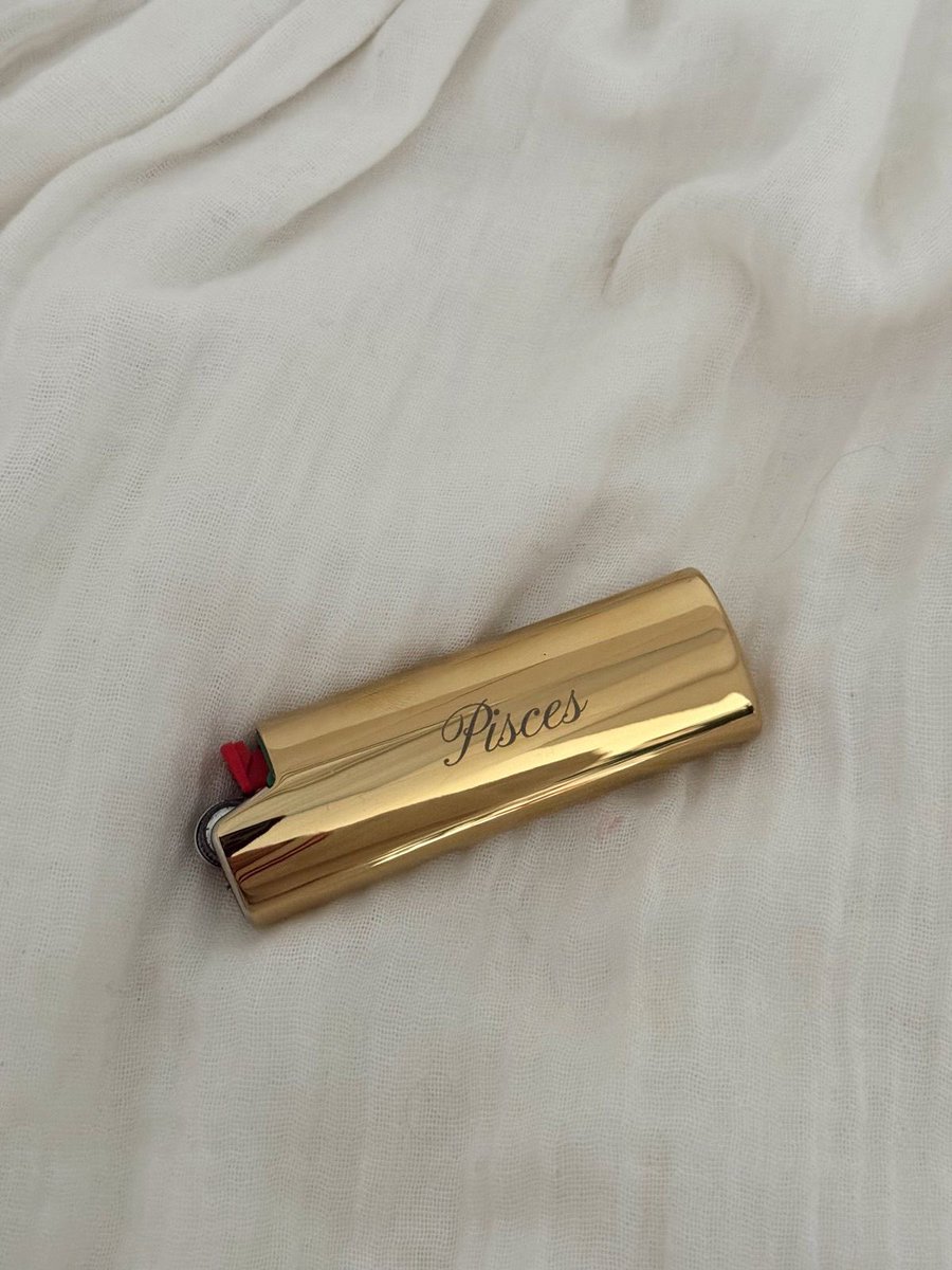 are you am i custom lighter case