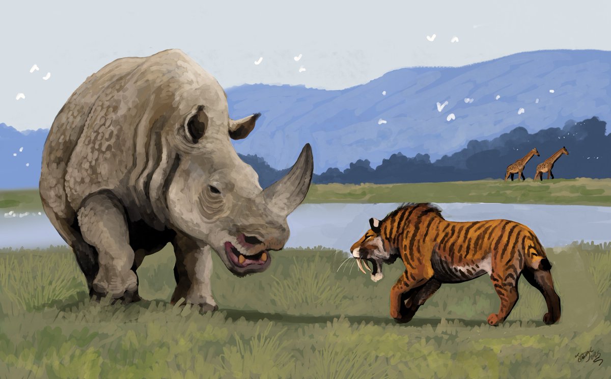 So apparently there's a 2016 paper I missed about Rhinoceros platyrhinos... and turns out it probably only had one horn after all, based on a more complete skull. So I gave it a rhinoplasty and... I actually think it looks better now :B Still a lot of horny boi...