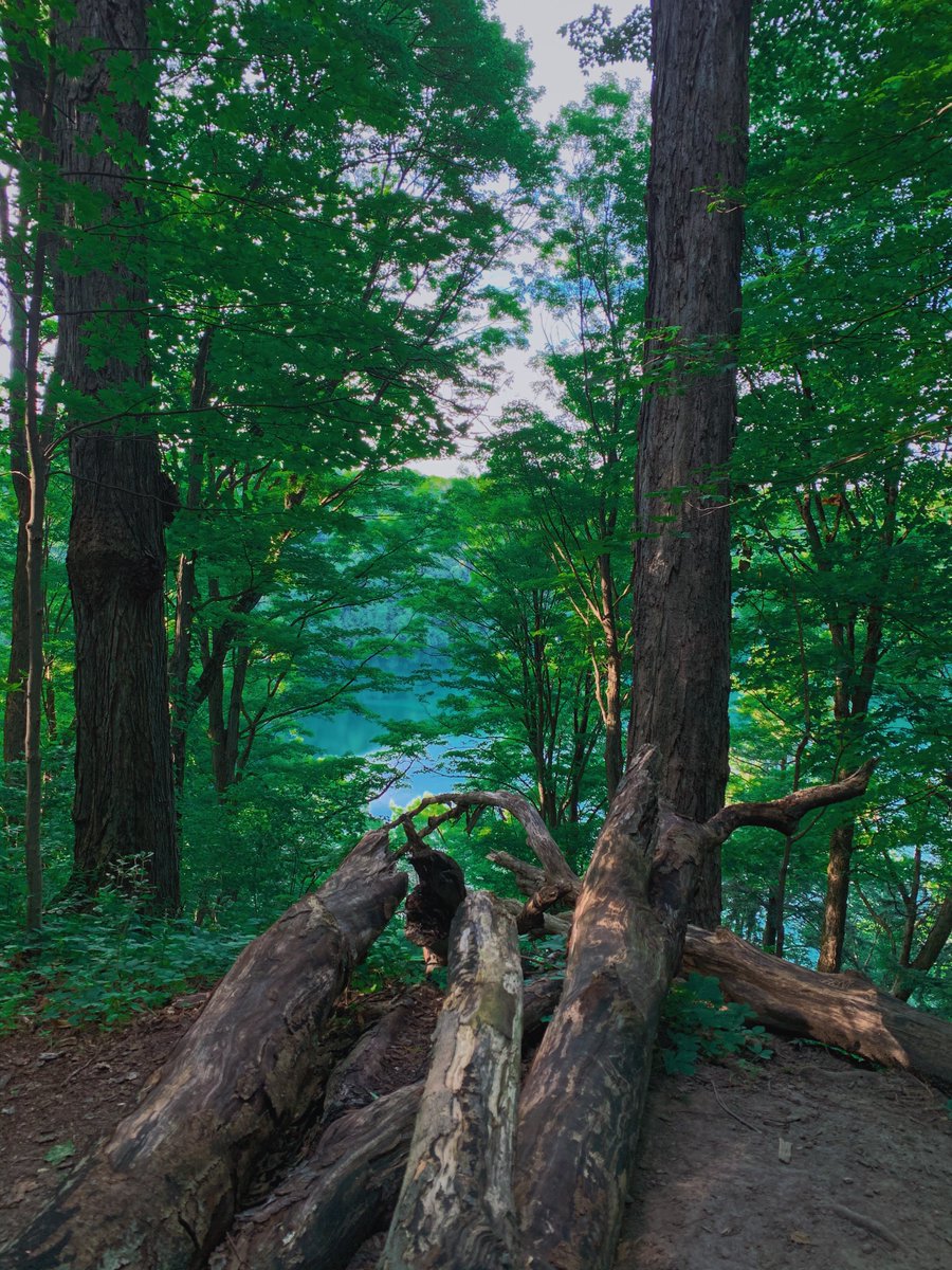 slabdaddyWx's tweet image. green lakes state park // NY
