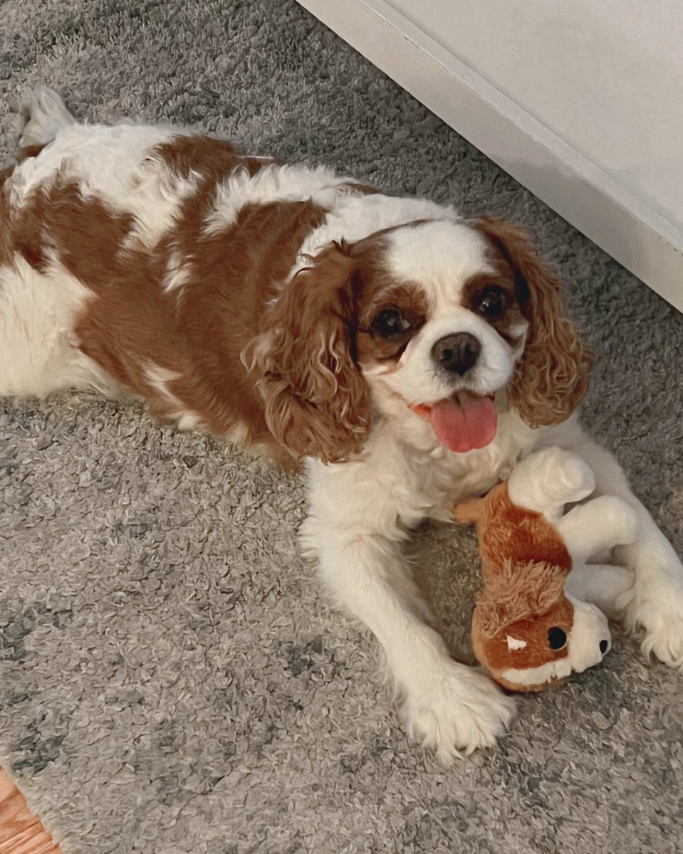 Betsy Maley Hasher tweet media