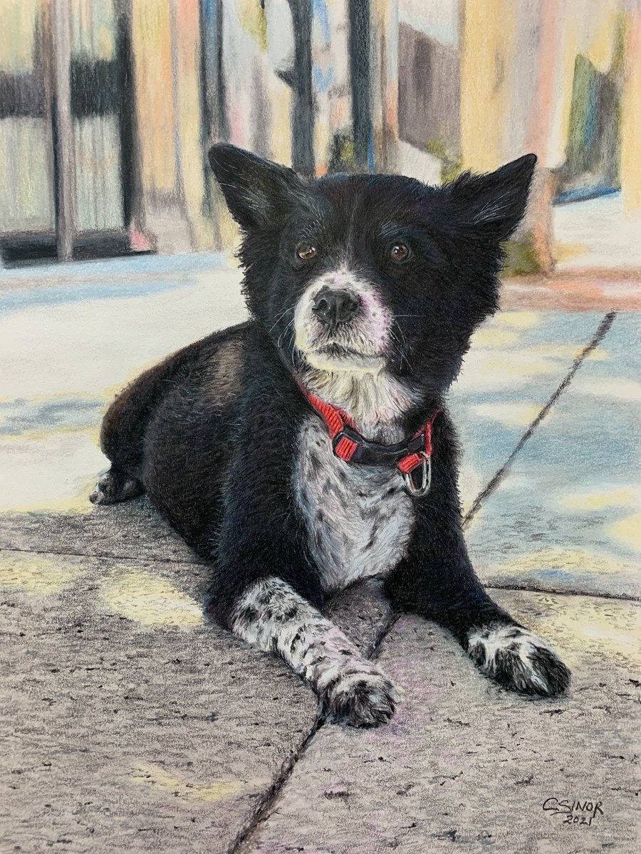 CindySinor's tweet image. This is not a photo. Zoom in to see the details of my colored pencil drawing.