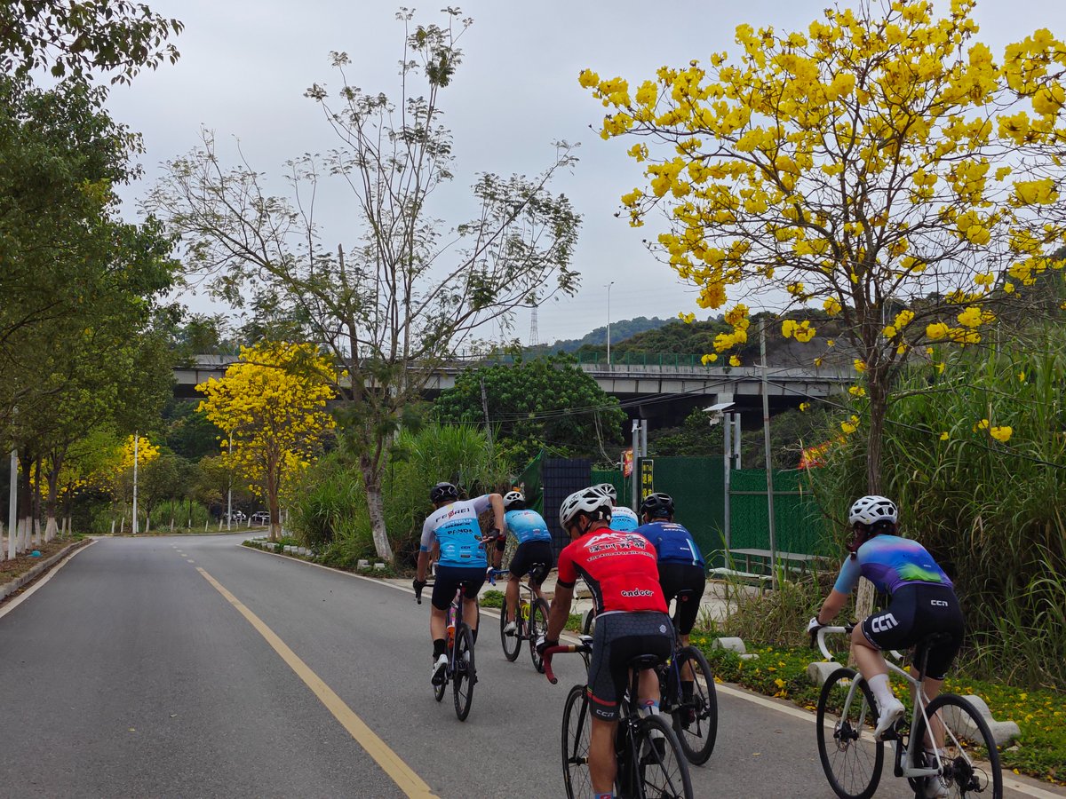 Happy Riding #ferei #cyclinglife #fereiwheels #roadbicycle #bicyclewheelsets