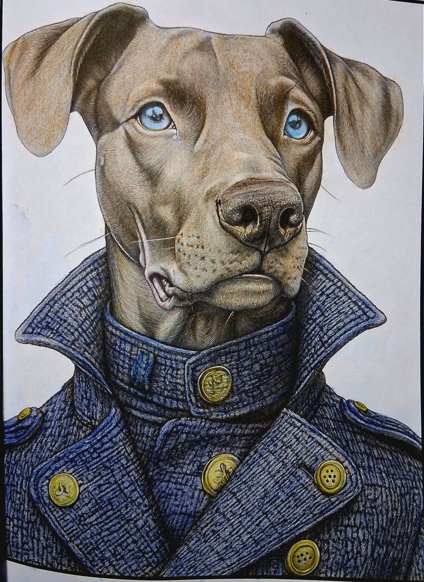 Russ Young tweet media