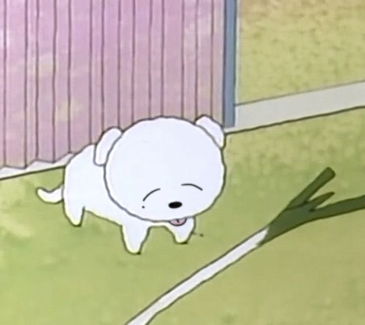 내눈엔 또 이렇게 보임