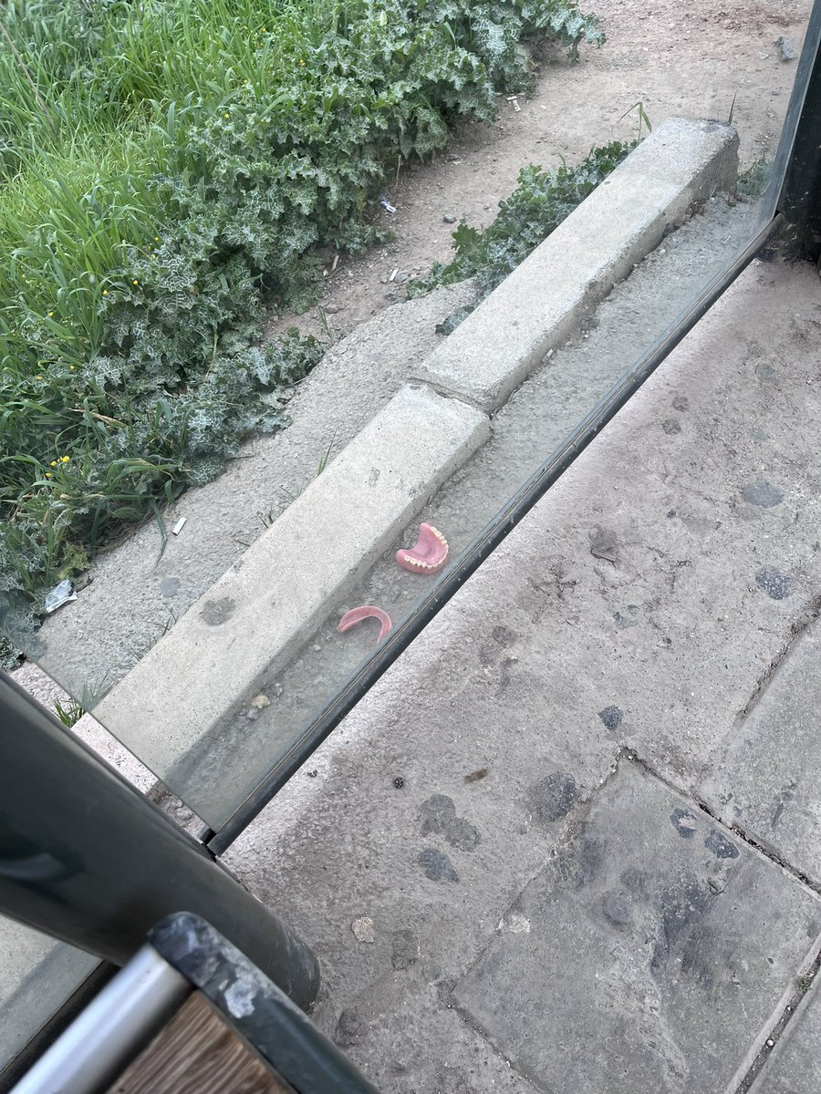 Takma diş 👍
Silivri ekspres 👎