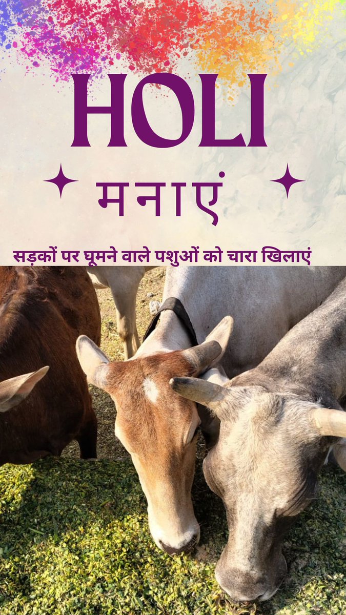 Celebrate Holi by feeding the voiceless
#Holi  #Holi2025  #HoliCelebration  #feeding #feedinganimal #feed #cattle #strays #straycattle #noidadiaries #noidacity #NoidaExtension