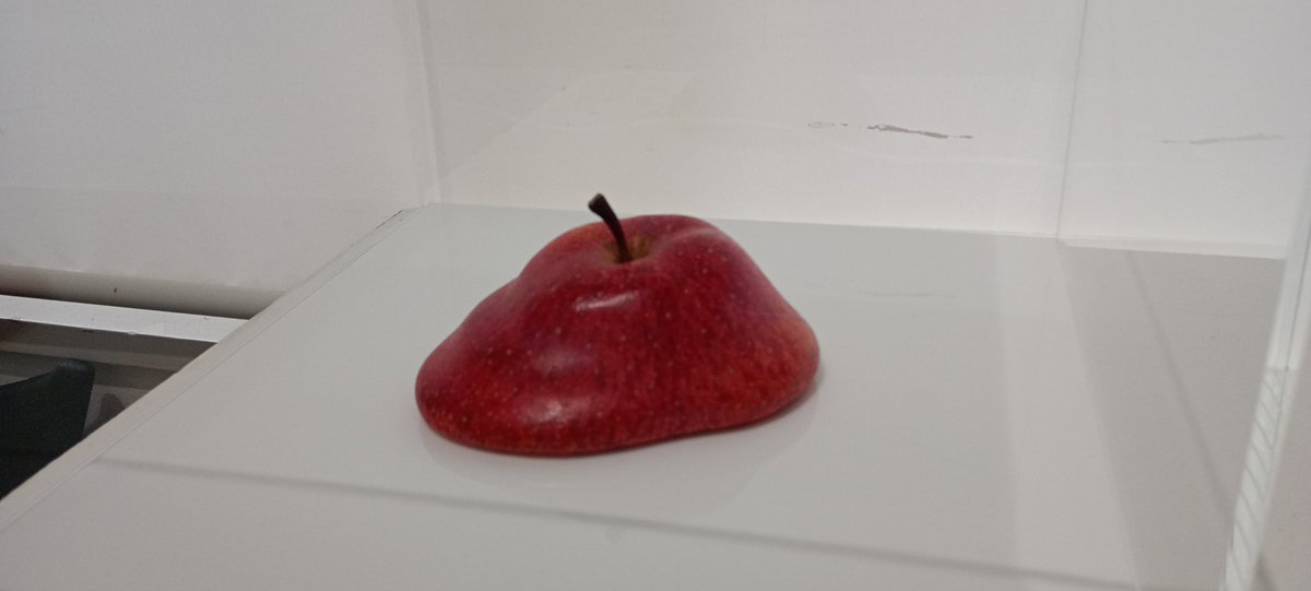 『ファインディング・ファンタスティック・ファンデーション』
会場　SNOW Contemporary

木村萌、多田恋一朗 、谷口洸、中根唯、山田悠太朗、雨宮庸介(敬称略🙇)

拝見しました〜
ステキな6名のアーティスト方々のグループ展が、開催中でした〜

SNOW Contemporaryさんにもようやく行けた😭