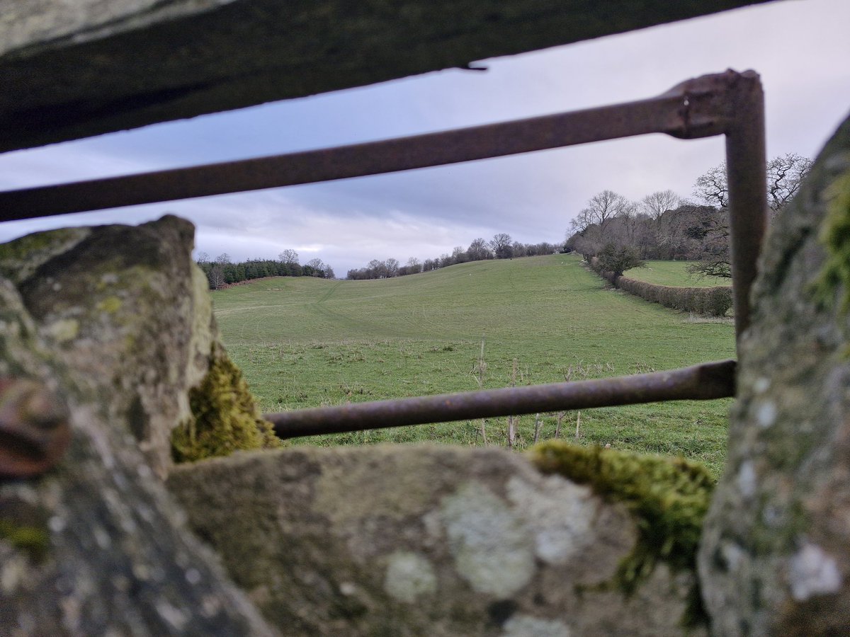A good walk in the morning helps in so many ways #countryside #shropshire #walking