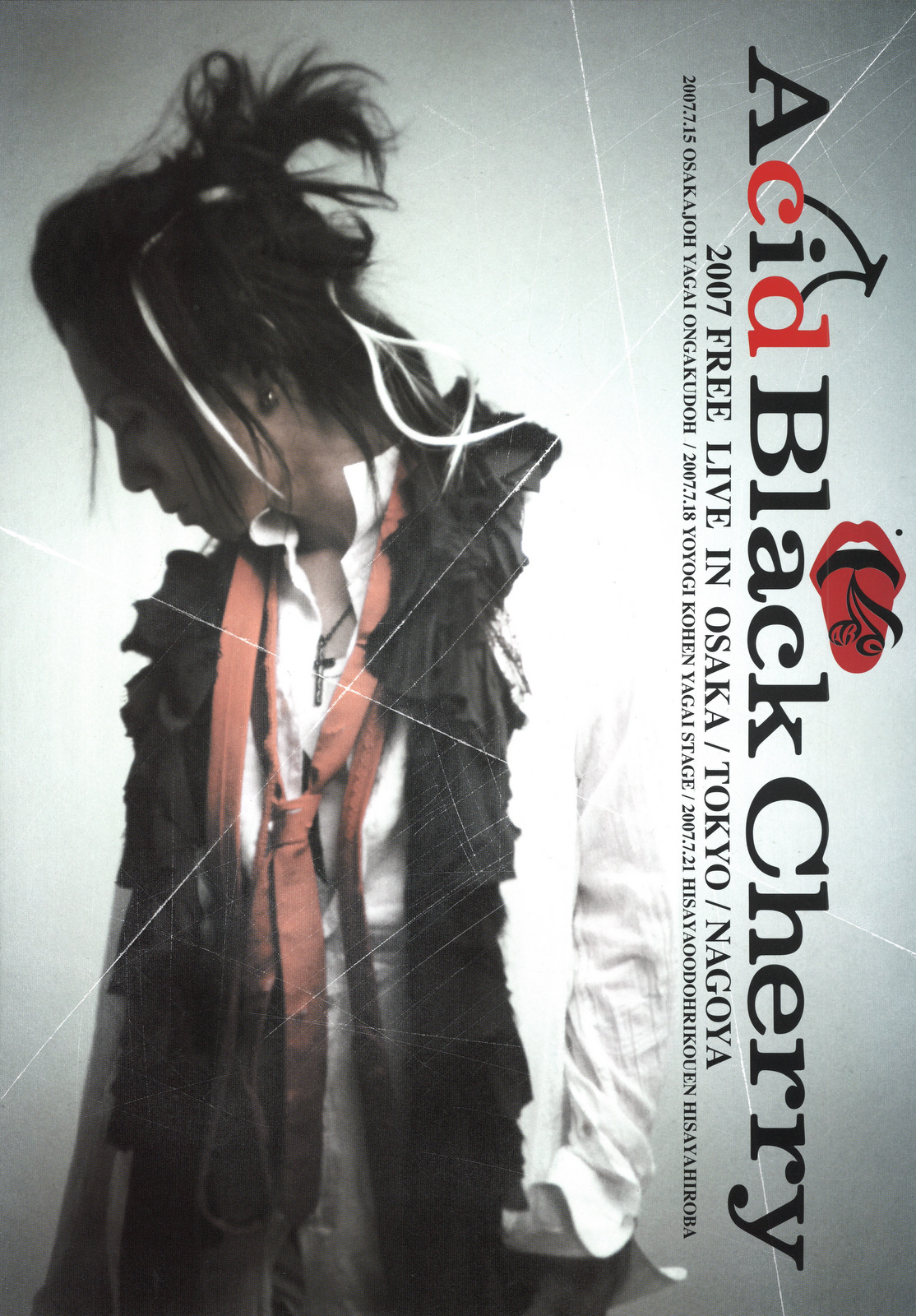 Acid Black Cherry アシッドブラックチェリー 缶バッジ 11個の