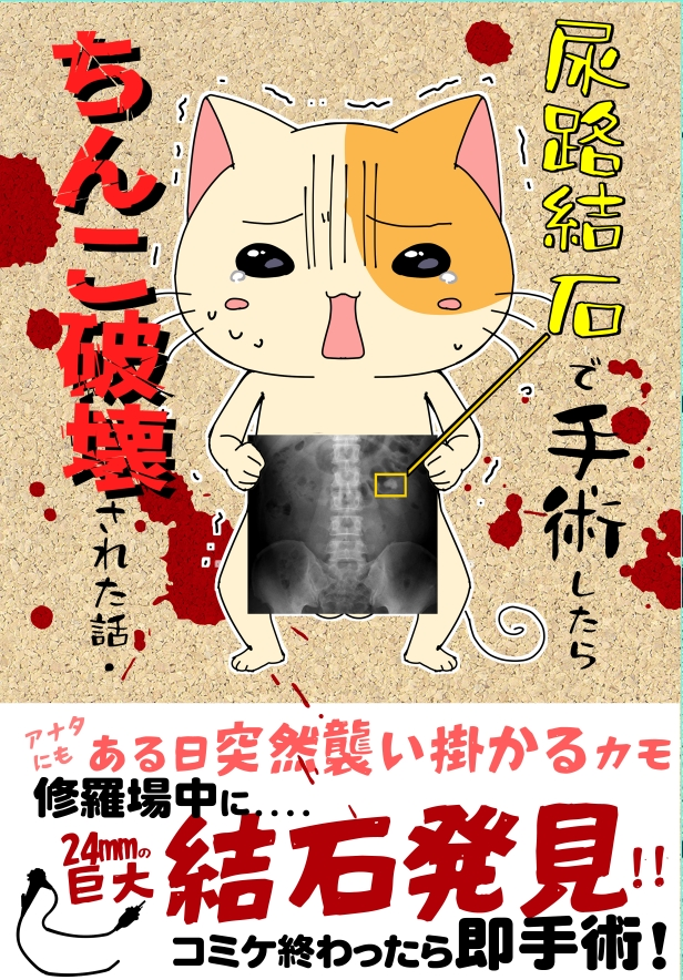 読みたいって声をもらったので 