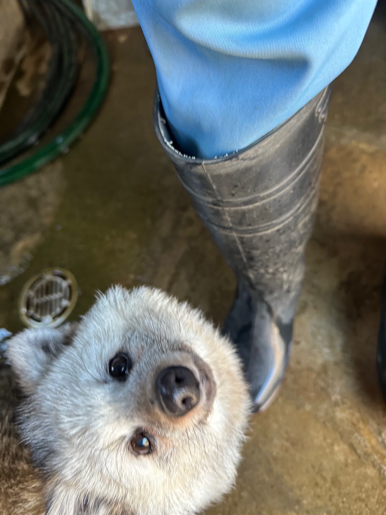 市川市動植物園（公式） tweet media