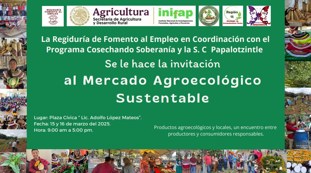 FelipeHdezEmig's tweet photo. La Regiduría de Fomento al Empleo en Coordinación con el Programa Cosechando Soberanía y la S. C Papalotzintle. Les hace la invitación a toda la población del Municipio de Chilapa de Álvarez, al Mercado Agroecológico Sustentable, el día 15 y 16 de marzo. 

Los esperamos https://t.co/PVymPaFhyK