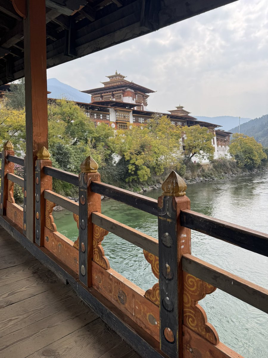 Andrew Wilson tweet media