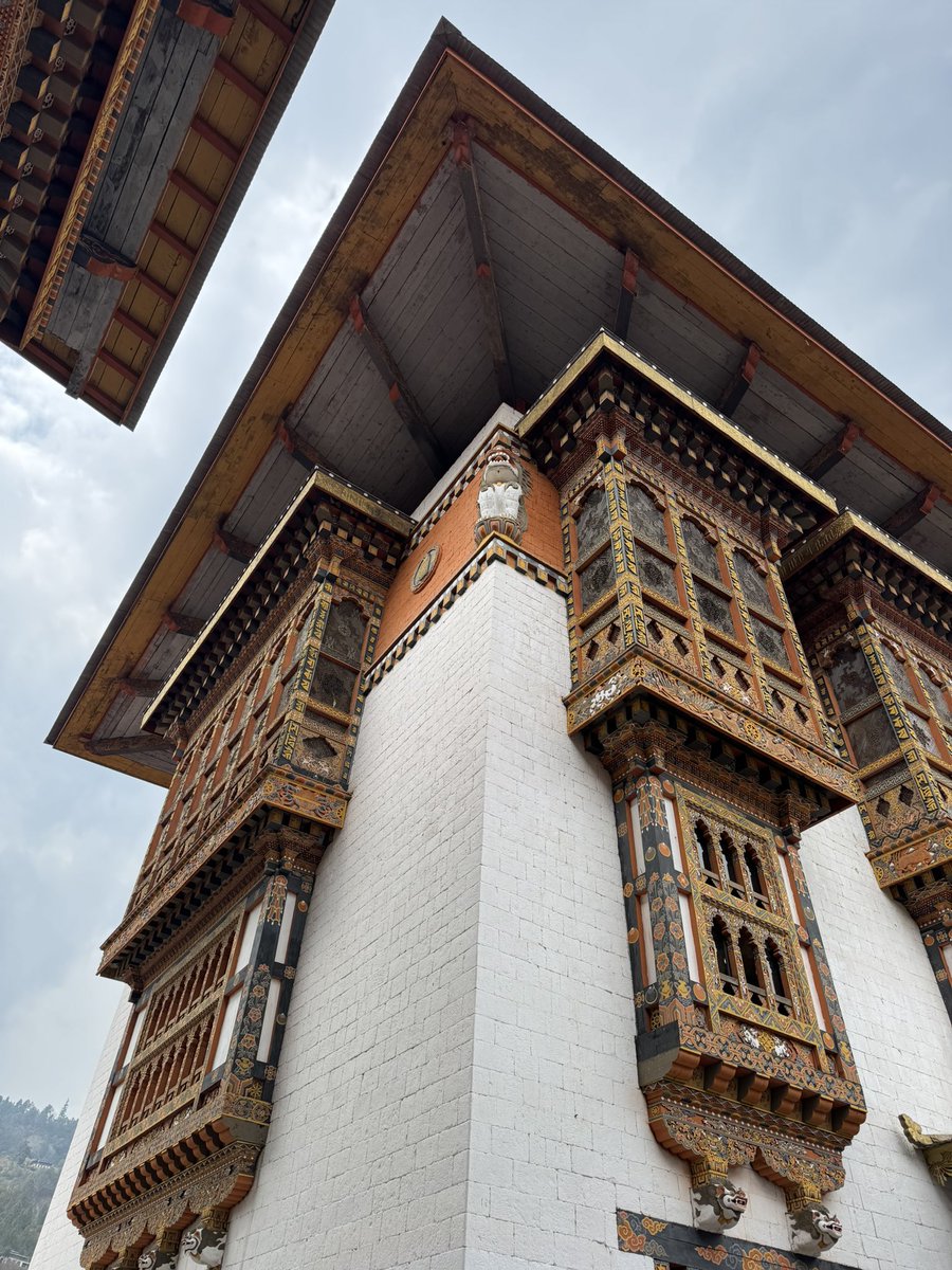 Andrew Wilson tweet media