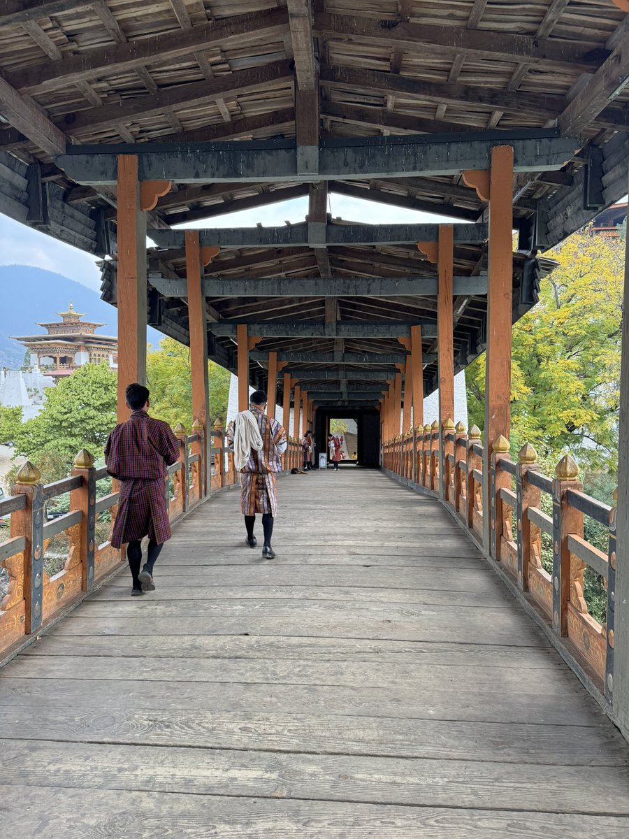 Andrew Wilson tweet media