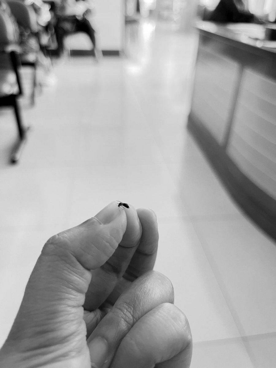 Called me psyco of nyamuk alias seneng bgt klo bisa ngegencet nyamuk penuh darah begini 🫡🔥