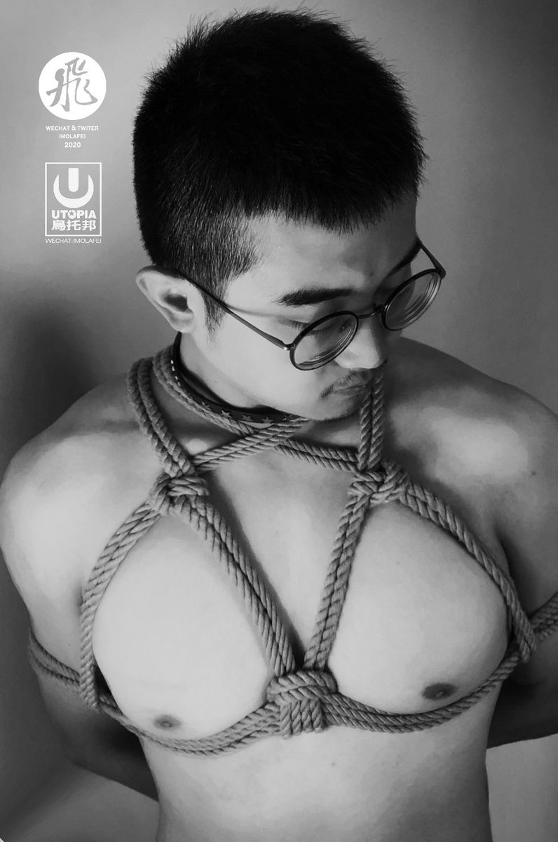 飛 (@imolafei) on Twitter photo 