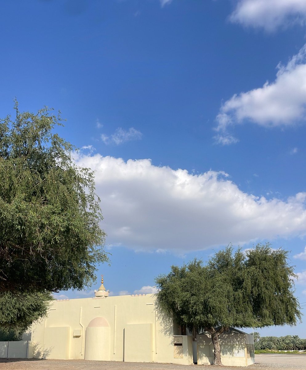 صباح الخير، وبعد: فلم يفتنا شيء، كل الفرص متاحة أمامنا لآخر العمر، لا أحد يكبرُ على شيءٍ يريده"