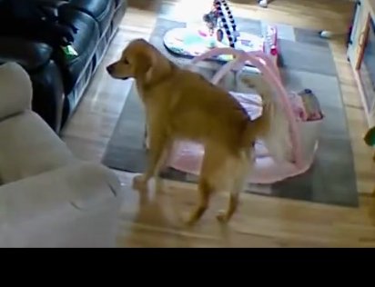 Stephanie Hypes tweet media