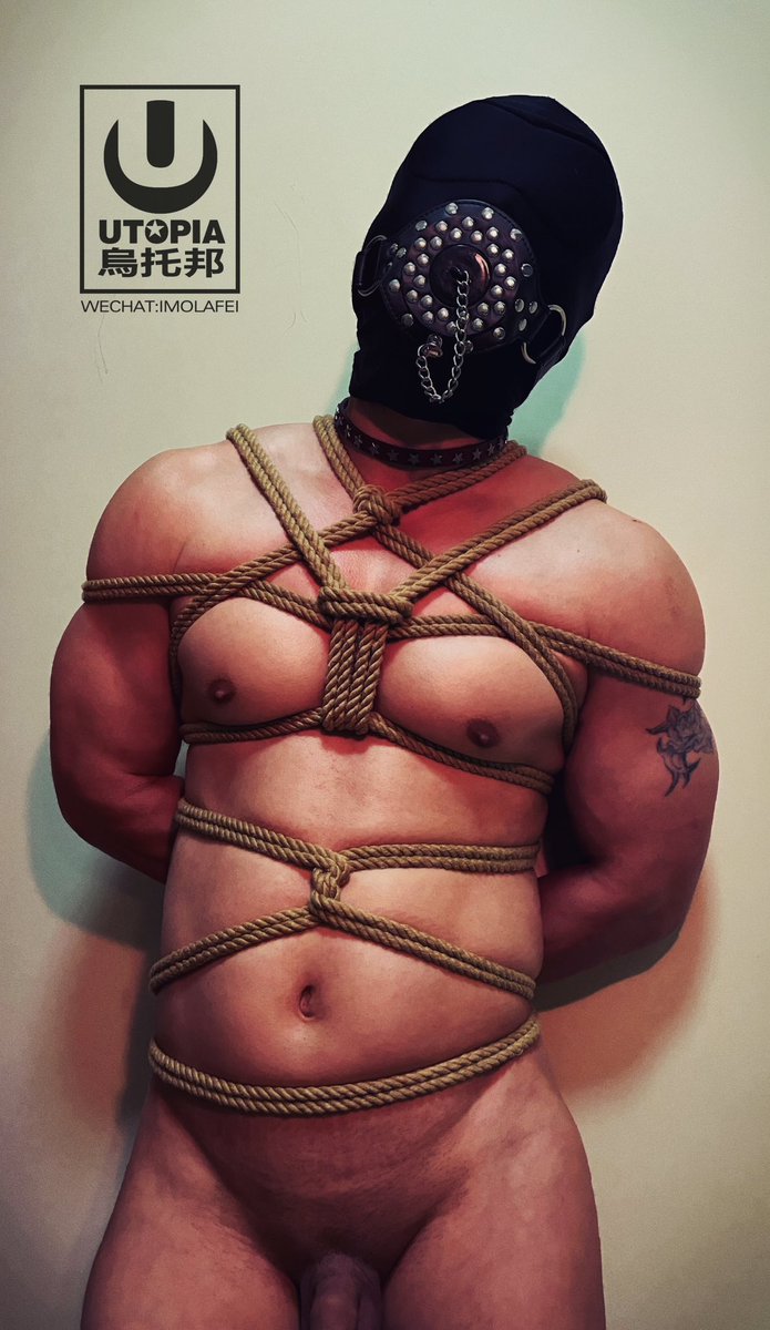 飛 (@imolafei) on Twitter photo 