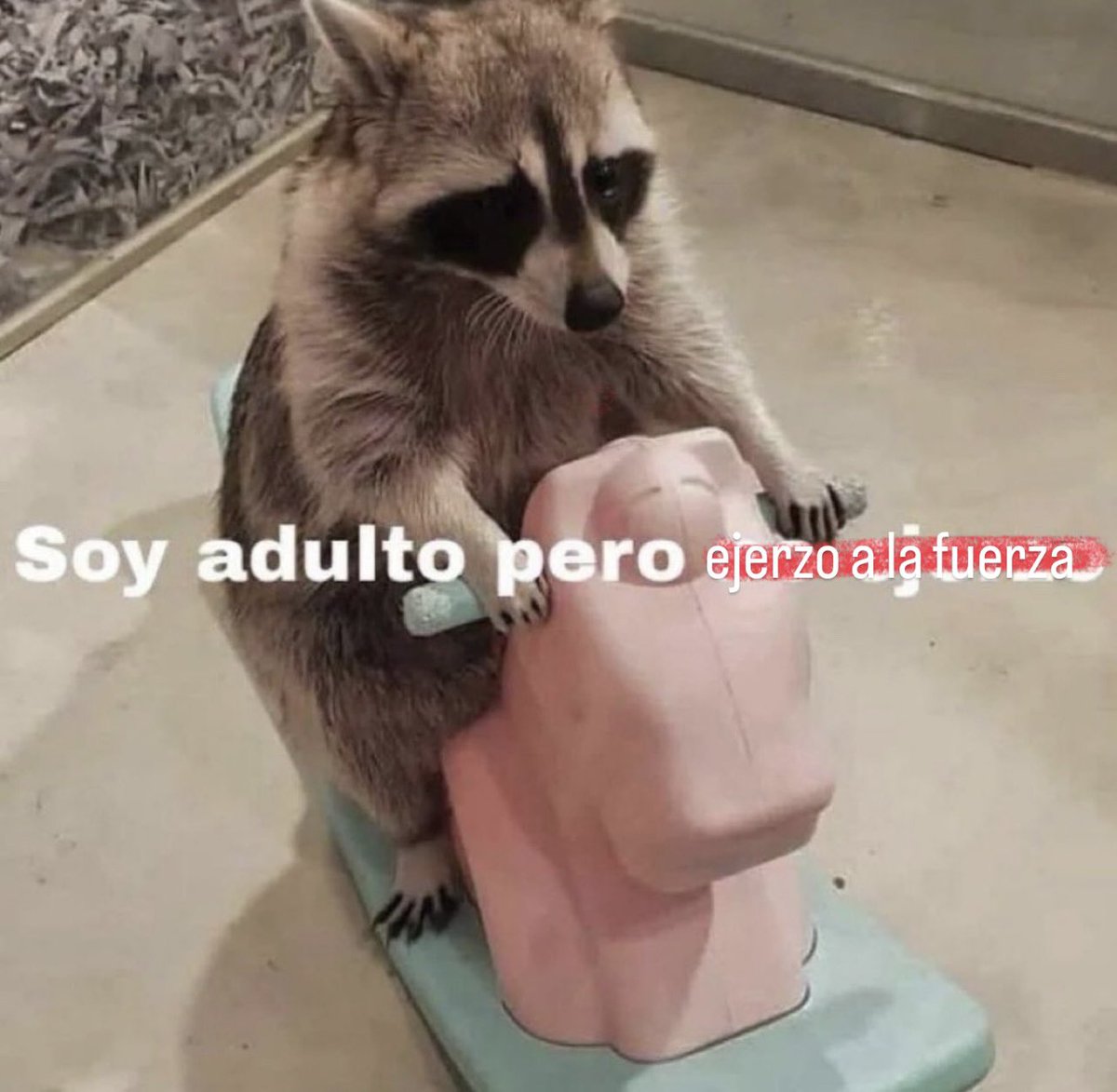 No más, ayuda 😭