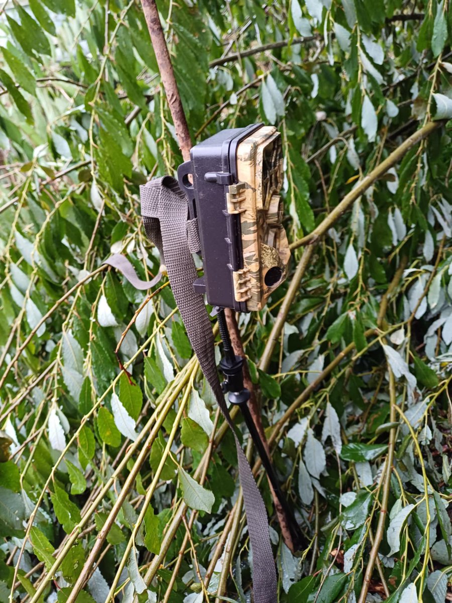 Many thanks to all those who organised, led and attended our recent rescue training day at the weekend. We usually hold these once or twice a year. It was great for those with more experience to share their knowledge and we now have a much boosted rescue team 💪🦡.