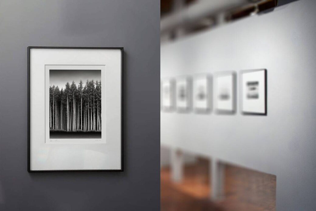 denisolivierart's tweet image. Bavarian Forest, Habach, Germany. August 2023. Ref-11744
denisolivier.com/photography/ba…
#ortho #bavarian #pine #trunc #picea #forest #nature #deutschland #denisolivier #bavaria #trees #habach #outdoor #xt3 #adoxxt3