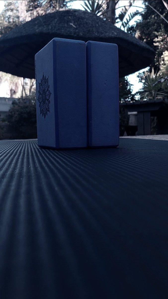 Charl_Bock's tweet image. Slow Mornings