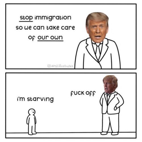 The Trump Administration is literally just this meme