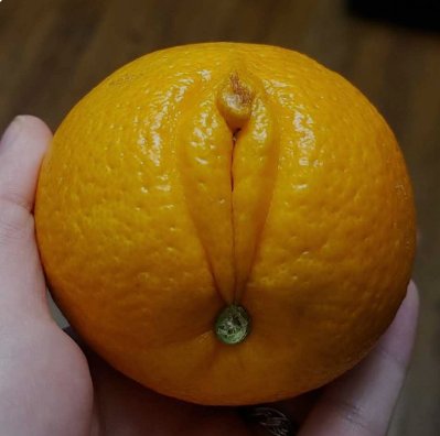 lishababys's tweet photo. 💰💰Smart Money Alert💰💰

📈 15m |4 Wallet Buy $Slutty Orange Lips
🤑FDV:12745 USDT
🎭：Holders :83
🎯9qF9PQt8Huc7jmkkpCH9u5X2R9RgCqv24ZwrcRmKpump
🚨Alert 🚀 Quick buy➡️ https://t.co/OYG0yQcQUg

#BTC #ETH #memecion #sol #BSC https://t.co/SWKbtPVd2q