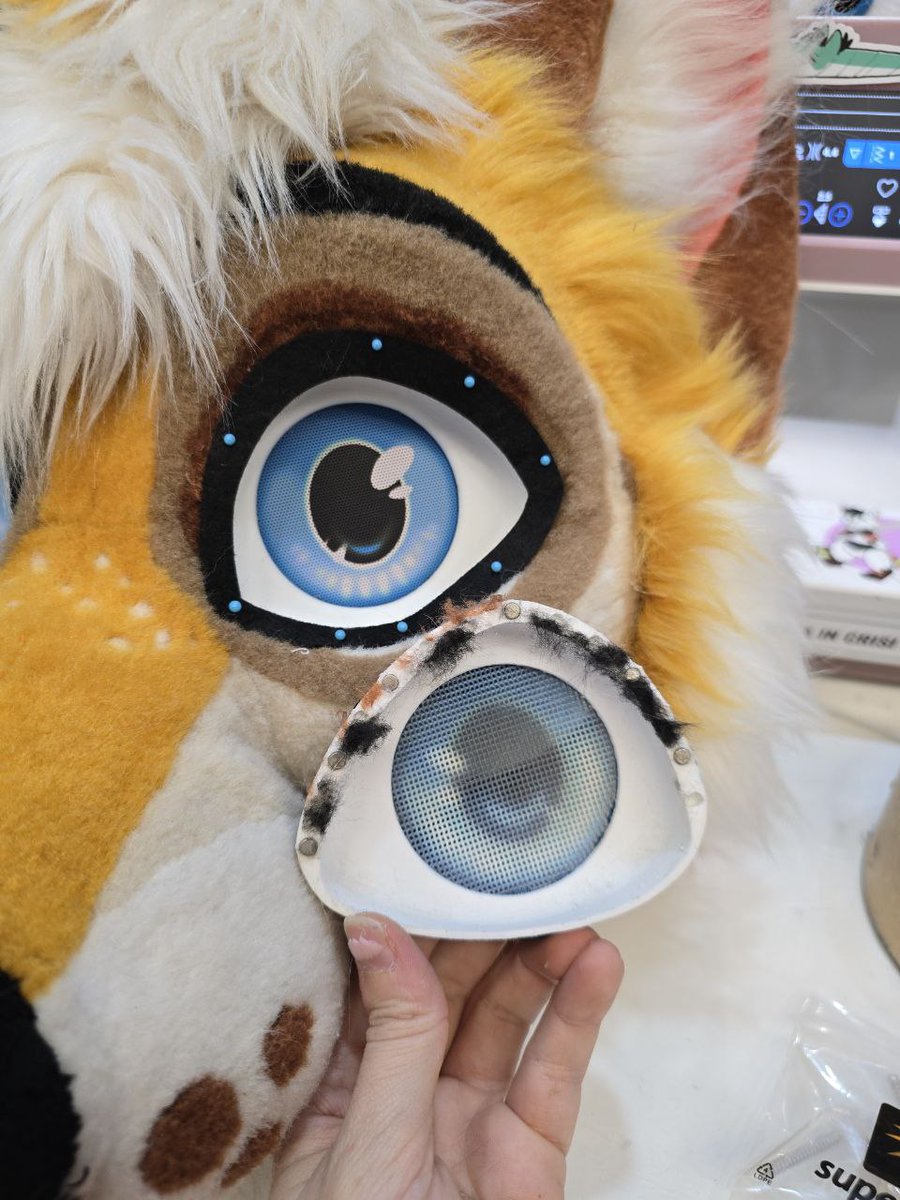 OhBoyItsAugust's tweet image. New year, new me... 👀
✂️@StuffedTailsFur