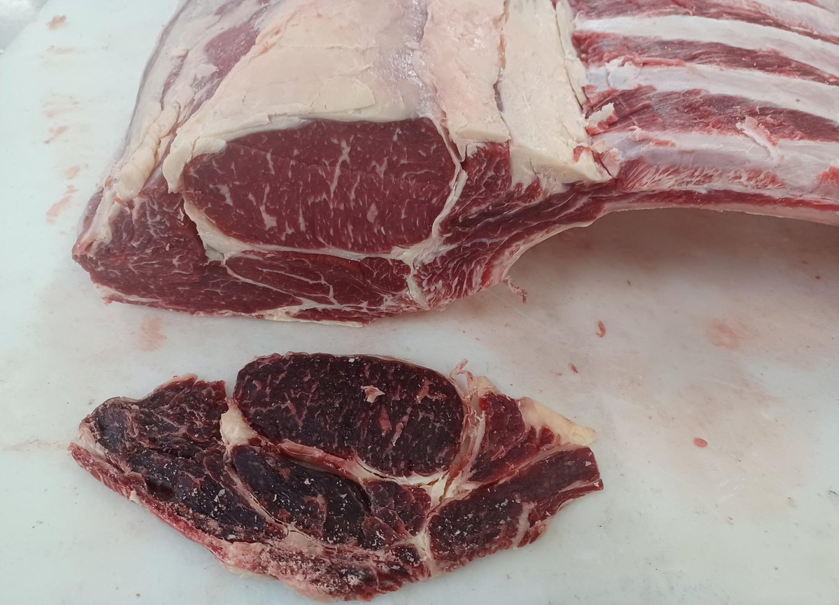 Stoddart's Best in Beef tweet media