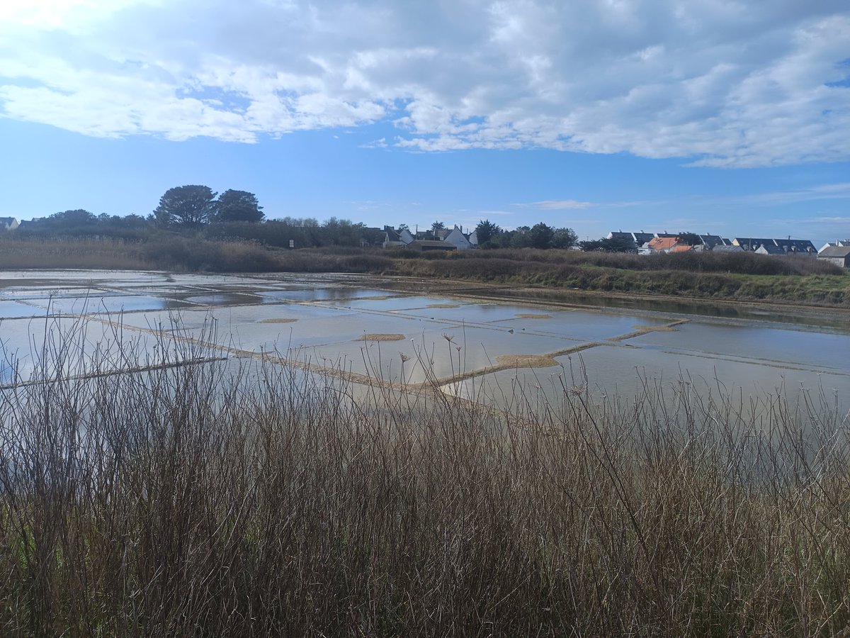LEAP de NERMONT (@leapdenermont) on Twitter photo Les élèves de 2nde OP du <a href="/LEAPdeNERMONT/">LEAP de NERMONT</a>  sont en voyage découverte métiers de la mer cette semaine.
Objectifs : découvrir la multiplicité de métiers, le bassin d'emploi, les caractéristiques des métiers, éveiller une vocation ?
Nous voilà donc dans la région de Guérande... Les élèves de 2nde OP du <a href="/LEAPdeNERMONT/">LEAP de NERMONT</a>  sont en voyage découverte métiers de la mer cette semaine.
Objectifs : découvrir la multiplicité de métiers, le bassin d'emploi, les caractéristiques des métiers, éveiller une vocation ?
Nous voilà donc dans la région de Guérande...