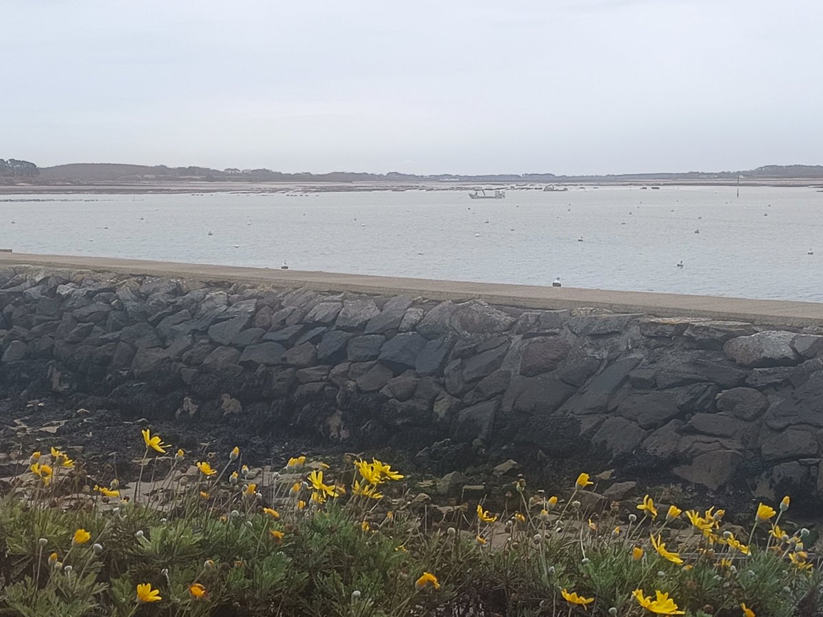 LEAP de NERMONT (@leapdenermont) on Twitter photo Les élèves de 2nde OP du <a href="/LEAPdeNERMONT/">LEAP de NERMONT</a>  sont en voyage découverte métiers de la mer : rencontre avec David, ostréiculteur passionné et passionnant... Visite des parcs à huîtres, et cette vue! Les élèves de 2nde OP du <a href="/LEAPdeNERMONT/">LEAP de NERMONT</a>  sont en voyage découverte métiers de la mer : rencontre avec David, ostréiculteur passionné et passionnant... Visite des parcs à huîtres, et cette vue!