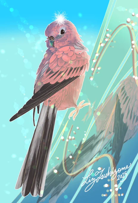 こんにちはうちの子オーダーの秋草インコのローズちゃんを描かせていただきました!!今回のオーダーはかなりお時間頂戴しているのですが、手数もかなりかけておりまして、結構頑張ったと思います^^ 