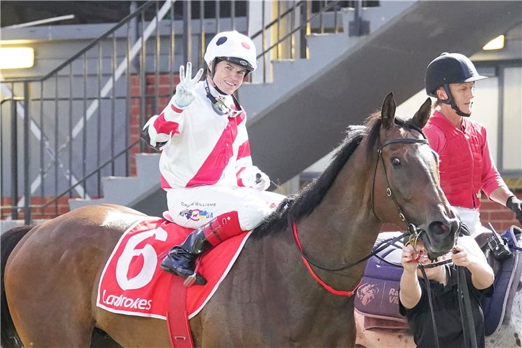 Craig Williams and Enver Jusufovic are quite the combo - 6 from 6 this season.
They’ll combine with a favourite at Caulfield this weekend. 
racingandsports.com.au/news/racing/ne…