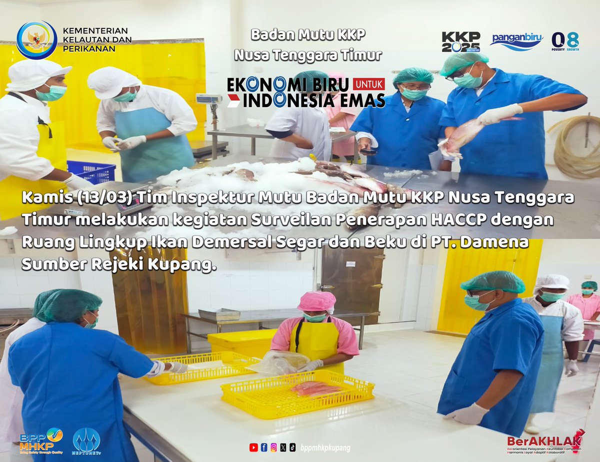 Hai #SahabatBahari,
Dalam rangka menjaga mutu ikan, Tim Inspektur Mutu Badan Mutu KKP NTT melakukan Surveilan Penerapan HACCP di Unit Pengolahan Ikan.

#PanganBiru
#25TahunKKP
#SailBeyondWithBlueEconomy
#2024KKPBeyond
#EkonomiBiru
#MenteriKKP
#KKPGOID
#SaktiWahyuTrenggono