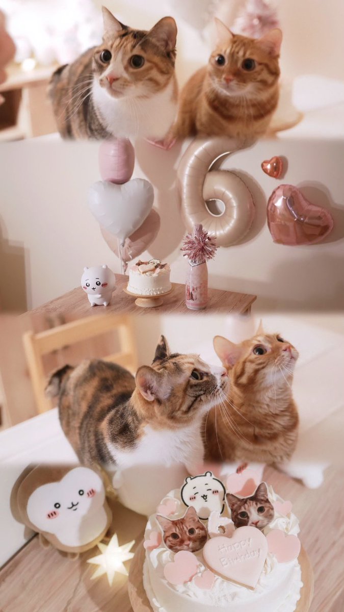 いぬ (@i_n_u_0) / Posts / X