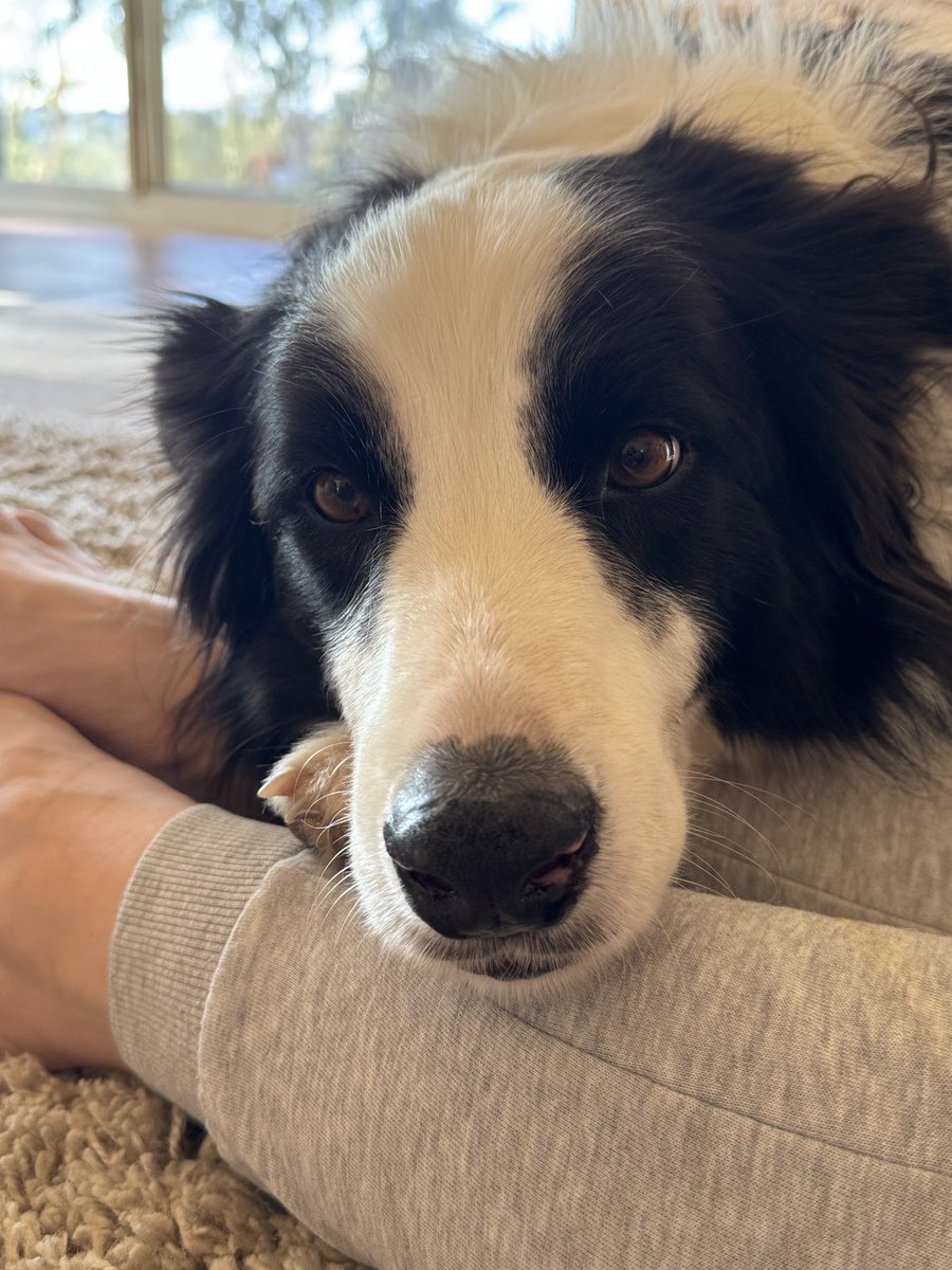 Nat (@mummabateman) on Twitter photo Hey Bear 🥰❤️ Hey Bear 🥰❤️