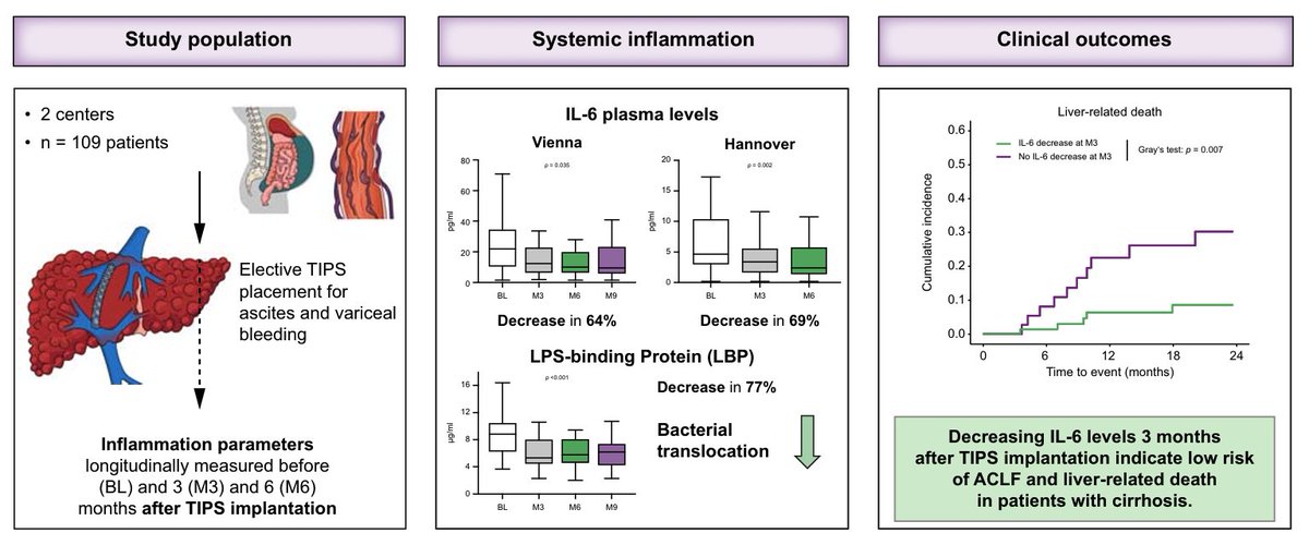 MOTION Vienna (@crgmotion) on Twitter photo 🧬 New Study Alert! 🧬
Groundbreaking research by <a href="/ReibergerThomas/">Thomas Reiberger</a>, <a href="/hartl_md/">Lukas Hartl</a> & colleagues reveals that decreasing IL-6 levels after #TIPS implantation can predict better outcomes in decompensated cirrhosis.
#LiverHealth #Cirrhosis #MedicalResearch #TIPS #inflammation 🧬 New Study Alert! 🧬
Groundbreaking research by <a href="/ReibergerThomas/">Thomas Reiberger</a>, <a href="/hartl_md/">Lukas Hartl</a> & colleagues reveals that decreasing IL-6 levels after #TIPS implantation can predict better outcomes in decompensated cirrhosis.
#LiverHealth #Cirrhosis #MedicalResearch #TIPS #inflammation