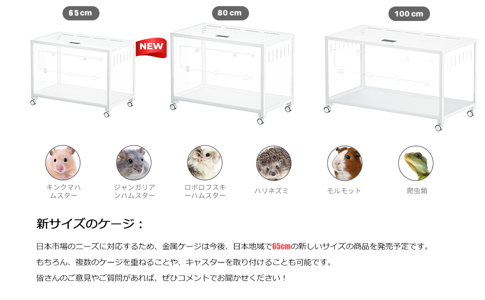 Bucatstate【公式】NEW tweet media