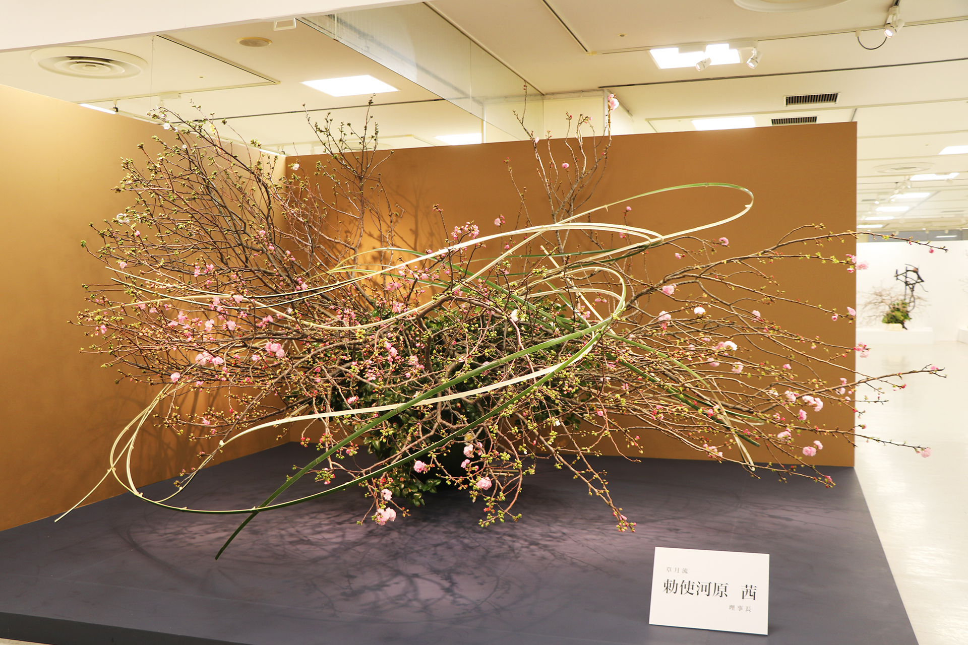 いけばな草月流 (@Ikebana_sogetsu) / X いけばな草月流 (@Ikebana_sogetsu) / X